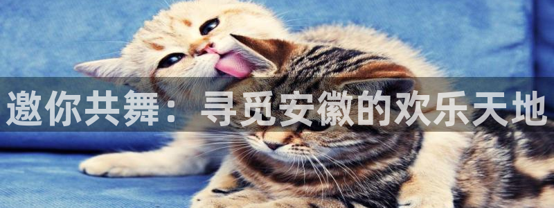 星空娱乐2929