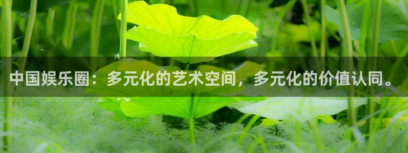 星空娱乐网站官网